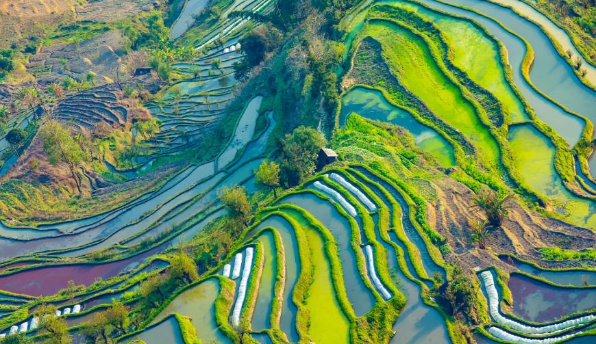 走进大同区TVC拍摄：解锁本地化场景与创意镜头的完美融合